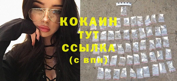 сатива Чегем