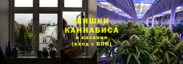 молекула духа Шадринск