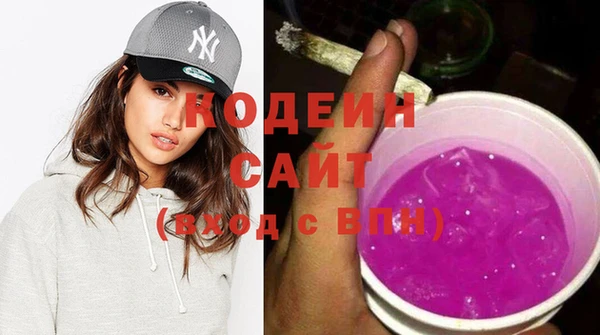 спиды Инта