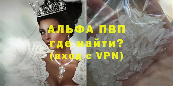спиды Инта