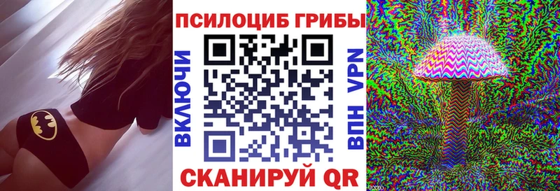 Галлюциногенные грибы Cubensis  как найти   Купино 